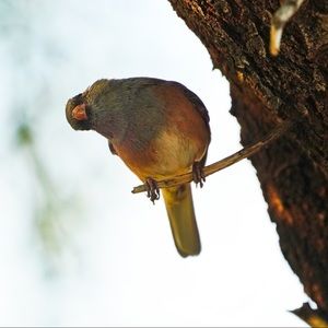 COPY - 8x10 wooden plaque